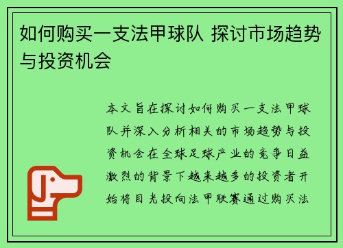 如何购买一支法甲球队 探讨市场趋势与投资机会