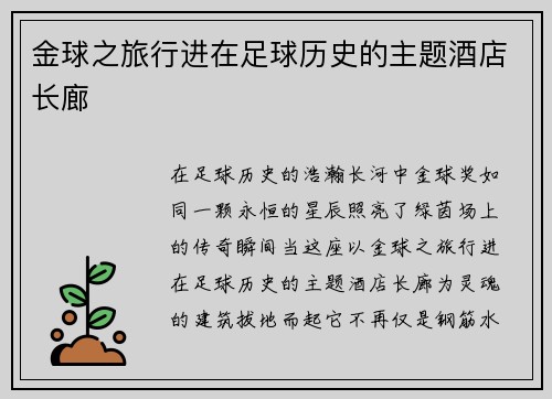金球之旅行进在足球历史的主题酒店长廊